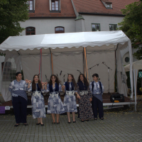 2024-07-06_-_Ulrichsfest-0085