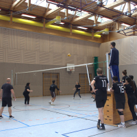 Volleyballturnier 2025
