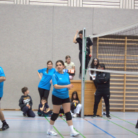 Volleyballturnier 2025